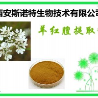 羊紅膻提取物 羊洪膻粉 生產(chǎn)廠家 可試樣