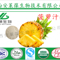 菠蘿粉 鳳梨粉 固體飲料原料 SC廠家供應