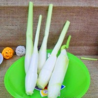 高筍檢測農(nóng)藥殘留,高筍營養(yǎng)成分檢測機構(gòu)