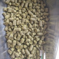 批發(fā)食品級啤酒花