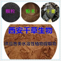 龍葵根提取物龍葵根濃縮汁粉龍葵根浸膏粉