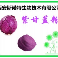 紫甘藍提取物 紫甘藍粉 斯諾特生物 粉末狀