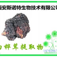 白樺茸粉 水溶性好 白樺茸提取物 可試樣