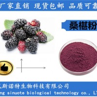 桑椹粉 桑椹提取物 廠家已備案