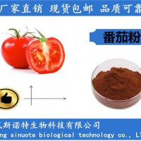 番茄粉 番茄濃縮粉 番茄提取物廠家優(yōu)惠