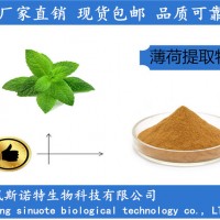 薄荷提取物 薄荷萃取粉 食品級薄荷粉