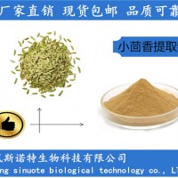 小茴香提取物10:1比例 濃縮小茴香粉 廠家供應