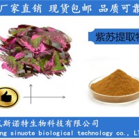 紫蘇提取物20:1 紫蘇速溶粉 濃縮紫蘇粉
