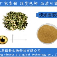 槐米提取物10:1 速溶槐米粉 SC企標資質齊全