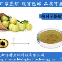 余甘子提取物10:1 SC企標資質齊全 余甘子濃縮粉