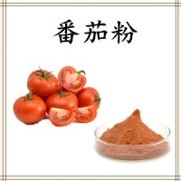 番茄濃縮汁粉 西紅柿速溶粉 噴霧干燥工藝 自有工廠生產(chǎn)