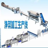 凈菜加工流水線專業(yè)供貨商 全自動凈菜加工線