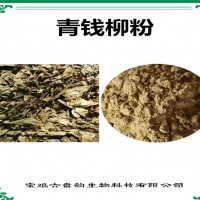 青錢柳濃縮粉 青錢柳粉 生產廠家