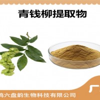 青錢(qián)柳提取物 青錢(qián)柳粉 比例提取 可定制