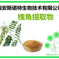 槐角提取物 槐角粉 提取物 斯諾特生物