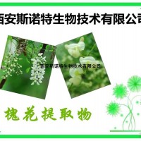 槐花提取物 5:1 槐花粉 提取物 包郵