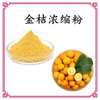 金桔濃縮汁粉 固體飲料原料 噴霧干燥工藝 支持定制生產