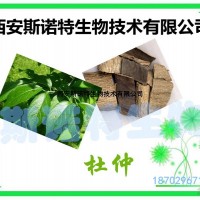 杜仲綠原酸 50% 杜仲提取物