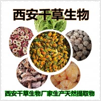 苦瓜籽提取物苦瓜籽天然濃縮粉 供應苦瓜籽萃取原液干膏