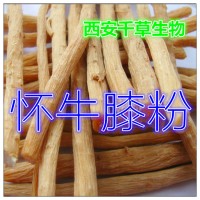 懷牛膝水溶粉 供應天然提取物定做懷牛膝濃縮流浸膏