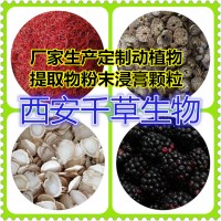 西番蓮提取物供應植物提取物西番蓮粉
