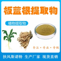 板藍根提取物 扶風斯諾特工廠