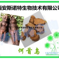 何烏萃取粉 何烏原粉 生產廠家 斯諾特