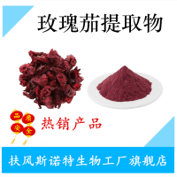 玫瑰茄提取物 玫瑰茄花青素 速溶粉廠家