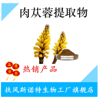肉蓯蓉提取物 松果菊苷10% 現貨廠家