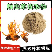 蛹蟲草提取物 可參觀廠區 蛹蟲草粉  外檢報告
