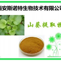 山葵粉 山葵原料提取 斯諾特生物 包郵