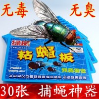 綠威強力粘蠅板蒼蠅貼粘蠅紙彩帶膠滅蚊蟲家用貼紙