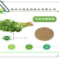 馬齒莧濃縮粉