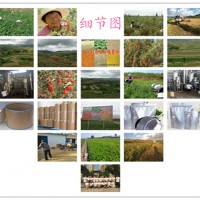番茄紅素供應(yīng)