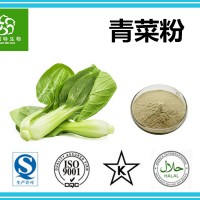 青菜粉 水溶青菜粉 青菜提取物 固體飲料 食品級原料
