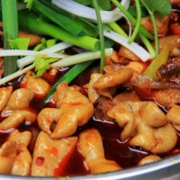 正宗四川肥腸雞肥腸魚(yú)底料批發(fā)廠家-技術(shù)指導(dǎo)BL2600
