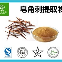 皂角刺粉 皂角刺提取物 皂刺提取物 生產廠家批發