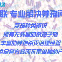 快速消除銅綠假單胞菌的方法 銅綠假單胞菌應如何殺滅