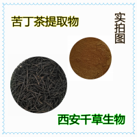 苦丁茶提取物易溶 供應植物提取物定做濃縮純浸膏顆粒
