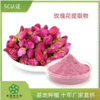 玫瑰花提取物 玫瑰花粉 玫瑰多糖 干燥濃縮水溶粉