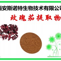 玫瑰茄提取物 花青素 25% 玫瑰茄粉質量