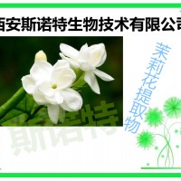 茉莉花粉 茉莉花提取物 斯諾特現貨
