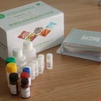 嘔吐毒素ELISA檢測試劑盒（測菌液）面粉中嘔吐毒素檢測