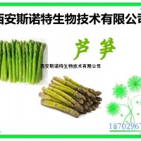 蘆筍提取物 30:1 現貨供應中