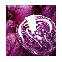 紫甘藍濃縮粉, 紫甘藍濃縮粉QS證廠家
