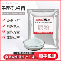 益生菌原料供應100億活菌干酪乳桿菌Lc-46固體飲料原料