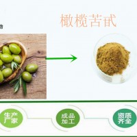 橄欖葉提取物 橄欖苦甙70% 國標(biāo) 歐標(biāo)均有 植物提取物