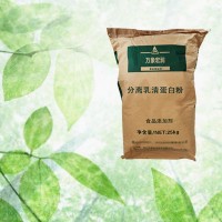 工廠批發食品級濃縮分離乳清蛋白 熱穩型速溶性