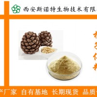 松子仁提取物 松子仁粉 松籽粉  松子仁提取物價格