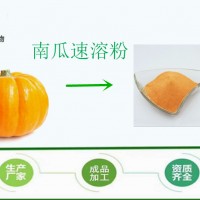 天然果蔬粉 南瓜粉 速溶 烘焙原料 小金瓜粉 斯諾特批發